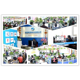 重慶彭水網站建設與軟件開發 網沃網絡的綜合服務優勢